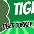 Tiger Turkey Disguise Craft