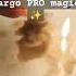 Оба молчат что будет дальше Гадание на воске Margo PRO Magic