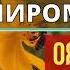 Алишер Миромилов Ояд ба ед