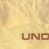 UnderCover Chapati Original Remix