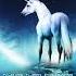 DJ Elven D Myo Fybear Vins The Last Unicorn Original Mix YEISKOMP VELOCITY