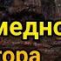 Разбор медного радиатора Как выгоднее сдать 13 Регион Тв