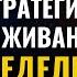 Как выжить в неопределенности и во время перехода PhD Всеволод Зеленин