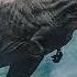 Rexy Sounds 1993 2002 2015 2018 2022