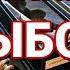 Настоящая волшебная палочка Реальная магия Часть 1 Выбор