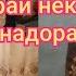 Давлати Хамадони дар канали мо Мохи бкапен Ячи механди Хама тамошо кунад