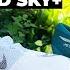 Nike Alphafly Next 2 Vs ASICS Metaspeed Sky Which Is The Best Carbon Shoe