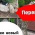 Хвойные вместо роз Перемены в саду создаю каменистый уголок