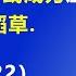 伊朗关闭 霍尔木兹海峡 危及中国的 生命线 或成为 压垮中国经济的最后一根稻草 2025 6 22 森哲深谈