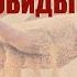 ПЕСНЯ О НАШЕЙ ЖИЗНИ Запиши обиды на песке Поёт Валерий Сёмин авторы В Сёмин В Калинкин