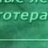 Фитотерапия Урок 1 1 Основные принципы фитотерапии Развитие фитотерапии в России