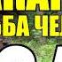 МАКАРЫЧ В ТАЙГЕ ХИЖИНА В ЛЕСУ ДЕД ХОЧЕТ ГРАНИТ НАУКИ ЕДА НА КОСТРЕ ЛЕЧЕНИЕ ТРАВАМИ 21 из