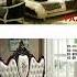 Queen Size Bed With Storage Artiss Double Bed Frame Low Profile Bed Grey And White Painted Rooms