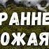 3 способа прогреть землю если весна задерживается Для раннего урожая в вашем огороде или теплице