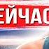 За этим делом следит весь мир Что случилось с Габби Петито