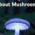 Mind Blowing Facts About Mushrooms