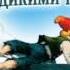 2000974 Chast 03 Аудиокнига Лагерлёф Сельма Чудесное путешествие Нильса с дикими гусями