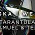 Aiwaska We Came Tarantula Asaf Samuel Tez Remix