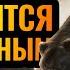 НОВЫЕ СТРАТЕГИИ и Рексар Starshaped NE Vs Kira UD Warcraft 3 Reforged