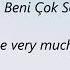 Tarkan Beni çok Sev With Lyrics