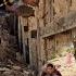 Building A House With Bricks Stones And Wood Creating A Canopy To Cope With The Harsh Heat