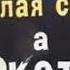 Лютые объявления Мегаподборка с канала Макс Максимов Осторожно злая собака а кот вообще ДЕБИЛ