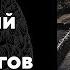 Чудеса современной археологии новые открытия в тульских лесах
