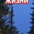 ШТУРМАН ГРОЙСМАН СПИСАН НА БЕРЕГ УЖЕ юмор жванецкий мудрость счастье здоровье МИР ВСЕМ