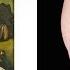 Ink Master Artists Who Blamed Their Canvas