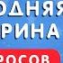 НОВОГОДНЯЯ ВИКТОРИНА 35 ВОПРОСОВ