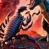 Clash Of Titans Dragon And Scorpion Across Desert Jungle And More Animation Animals Edit Op