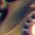 Chillstep Galpe Are We Dreaming