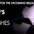 Bat For Lashes Strangelove Depeche Mode Cover
