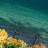FLY FISHING The PUGET SOUND SEARUN Cutthroat Coho Fishing With Josh Phillips