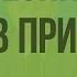 Биотические связи в природе Видеоурок по биологии 9 класс