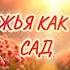 Любовь Божья как цветущий сад