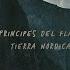 Los Principes Del Flamenco Tierra Nordica Royalty Free Music