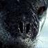 Happy Feet 3 10 Movie CLIP Leopard Seal Chase 2006 HD