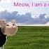 Meow I Am A Cow Feat Shmoogan