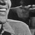 Harry Belafonte Hava Nagila Live