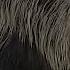 Prehistoric Planet The Deinocheirus Hunts For The Perfect Back Scratcher Apple TV