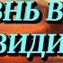 8 ЖИЗНЬ В МИРЕ НЕВИДИМОМ Энони Борджиа околосмертныйопыт жизньпослежизни аудиокниги