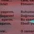 Музыканты в 24 странах исполнили гимн Турции