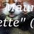 Paul Mauriat Alouette Remix