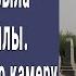 На кладбище каждую ночь выла стая собак Установили камеру потеряли дар речи от увиденного