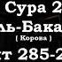 Сура 2 Аят 285 286 Сура Аль Бакара Чтец Арби Аш Шишани Koran Translate