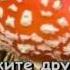 Караоке для детей Танго Нарцисса Из кинофильма Тайна Снежной королевы Детские песни