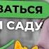 Легкая адаптация ребенка к детскому саду Ребенок плачет и не хочет идти в детский сад что делать