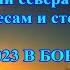 Здравствуй гостья зима Просим милости к нам Песни севера петь по лесам и степям ЗИМА В БОРОВУХЕ1