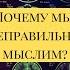 Александр Панчин Почему мы неправильно мыслим Ведущий Михаил Соколовский